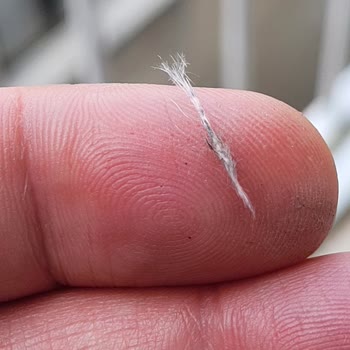 Parliament Kalitesindeki Düşüş Ve Plastik Elyaf Sorunu