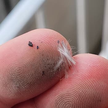Parliament Kalitesindeki Düşüş Ve Plastik Elyaf Sorunu