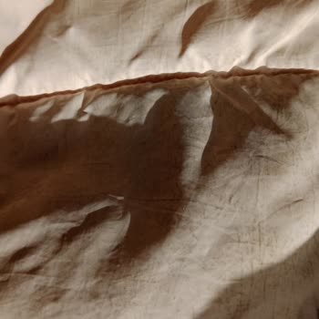 LCW Montunun İki Ayda Üç Yıl Yıpranması Ve İade Talebinin Reddedilmesi