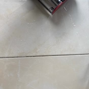 Dyson Islak Başlık İçin Tek Cihaz Gönderme Zorunluluğu Ve Müşteri Hizmetlerinin Katı Tutumu