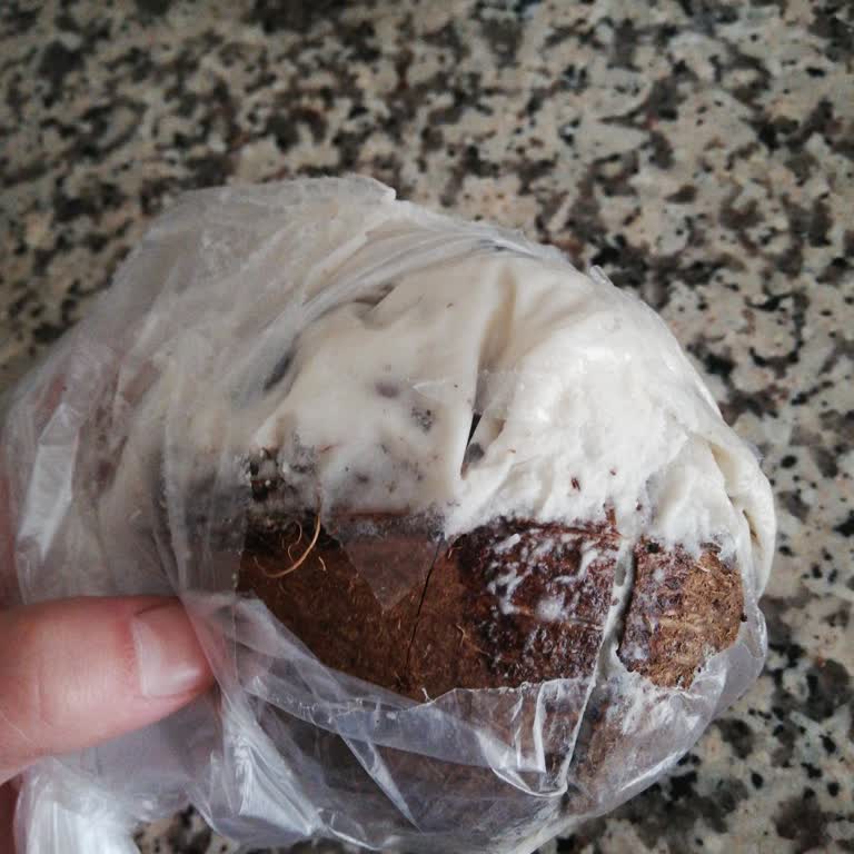 BİM Bozuk Hindistan Cevizi İçin İade Reddi Ve Personel İhmali