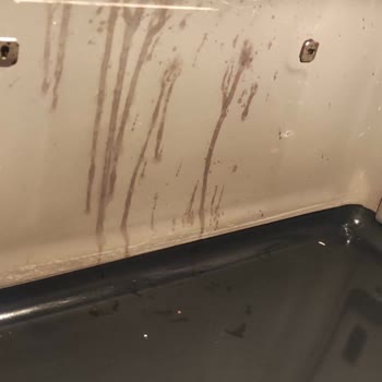 Siemens Ev Aletleri Fırının Kendi Kendini Temizleme Özelliği Çalışmıyor