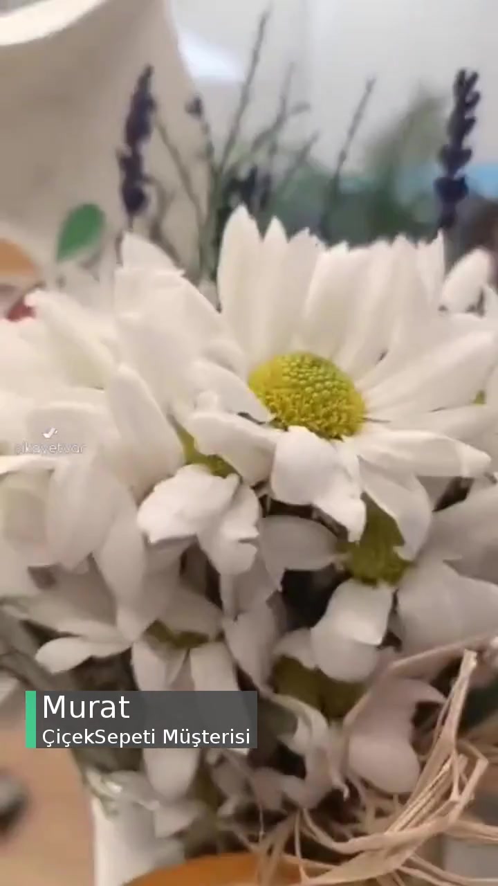 Çiçek Sepeti Papatyaların Yaprakları Dökülmüş! videonun kapak resmi