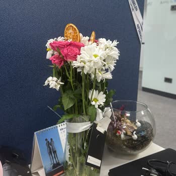 Lilyana Flowers Hayal Kırıklığı Yaşama