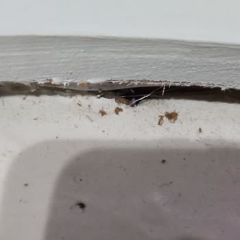 Kalitesiz LEDli Ay Tablosu İçin İade Talebi Ve Şirketten Yanıt Bekleniyor