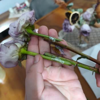 Çiçek Sepeti'nden Bozuk Çiçek Teslimatı Ve Cevapsız Müşteri Hizmeti