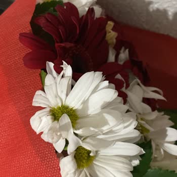 Yanlış Ve Özensiz Çiçek Teslimatı, Müşteri Hizmetlerine Ulaşılamadı