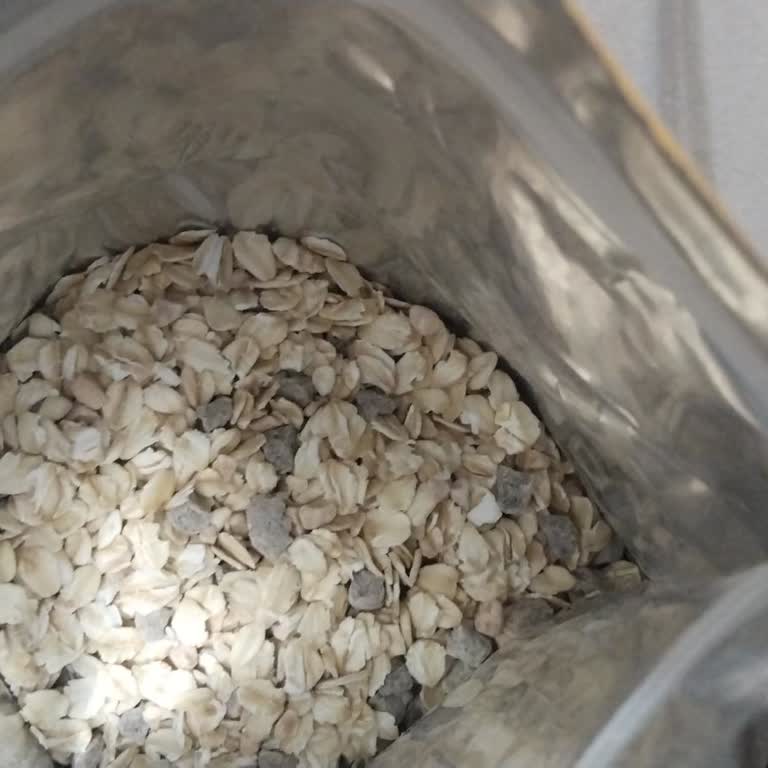 Tarihi Geçmemiş Üründe Küflü Müsli: Sağlık Ve Güven Kaybı