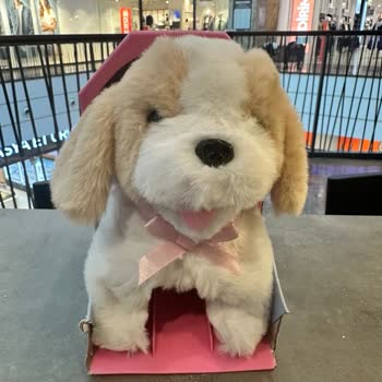 Toyzz Shop Bozuk Hediyenin Süre Dolmuş Dediği İçin Değişimi Reddetti