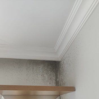 Aydın Palace Termal | Afyon Tüm Yataklar Islandığından Çıkmak Zorunda Kaldık