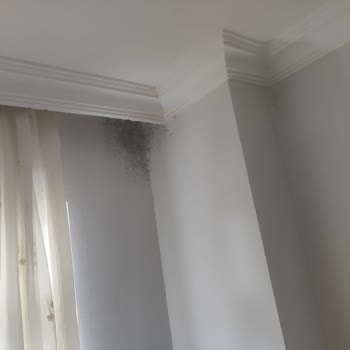 Aydın Palace Termal | Afyon Tüm Yataklar Islandığından Çıkmak Zorunda Kaldık