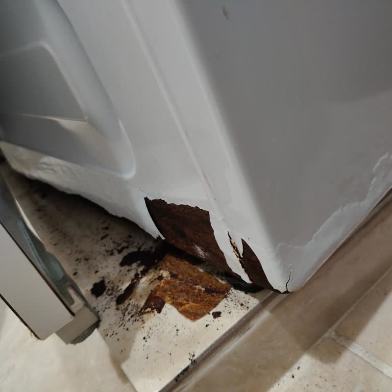 Beko Çamaşır Makinesinde Hızlı Gövde Çürümesi Ve Ücretsiz Değişim İsteği