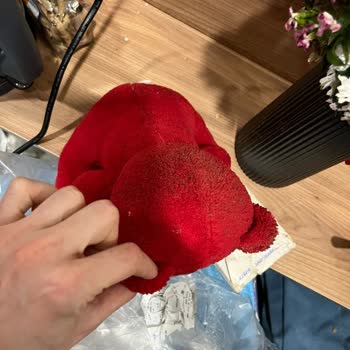 Çiçek Market’ten Gelen Solmuş Çiçek Ve Kirli Hediyeler İçin Ücret İadesi Ve Özür Talebi