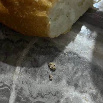 BİM Mağazasında Ekmekte Taş Parçası Bulundu Sağlık Riski