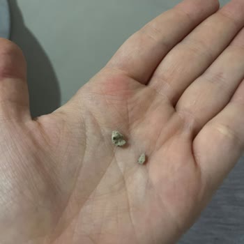 BİM Mağazasında Ekmekte Taş Parçası Bulundu Sağlık Riski