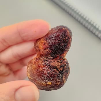 Kuru Kayısında Larvalar Bulunması