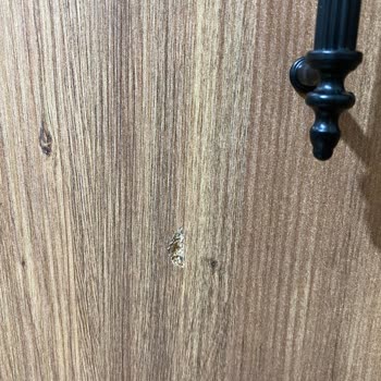 Deforme Kapak İçin Ücretsiz Parça Değişimi Talebi Ve Cevapsızlık