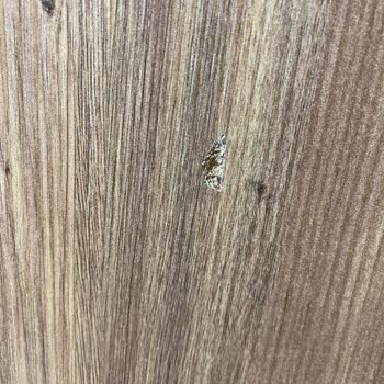 Deforme Kapak İçin Ücretsiz Parça Değişimi Talebi Ve Cevapsızlık