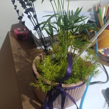 Sevgililer Günü Çiçek Siparişinde Eksik Gönderim Ve Kötü Müşteri Hizmeti