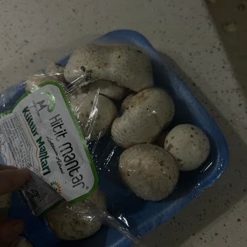 Karatay A101 Şubesinde Son Kullanma Tarihi Dolmuş Ve Küflü Mantar, İade Talebi