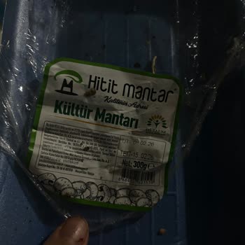 Karatay A101 Şubesinde Son Kullanma Tarihi Dolmuş Ve Küflü Mantar, İade Talebi