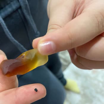 Jelibon Üründe Siyah Yabancı Parça: Sağlık Riski