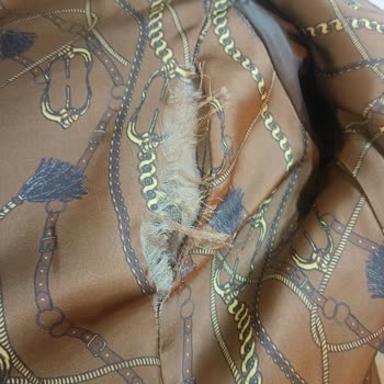 Derimod'la Aldığım Deri Ceket İç Astarı Yırtıldı Ve Mağaza Kullanıcı Hatası Dedi