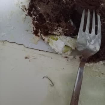 Lux Buca FIRIN&CAFE Pastada Zımba Telinin Bulunması Çocuk Güvenliğini Tehdit Ediyor