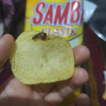 Samba Cipsinde Yabancı Madde Hatası Ve Sağlık Endişesi