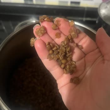 Yayla Bakliyat Mercimekler Kesinlikle Pişmedi