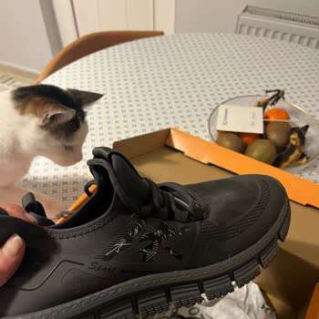 Deneme Amaçlı Giyilen Ayakkabının Kullanılmış Sayılmasıyla İade Reddi