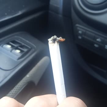 Parliament Sigarasında Odunsu Parçalar Ve Değişen Koku