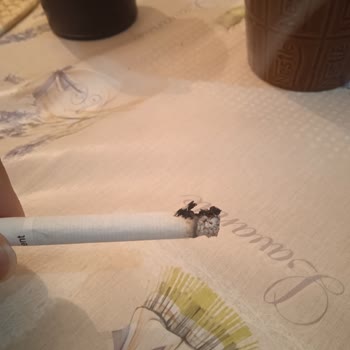 Parliament Sigarasında Odunsu Parçalar Ve Değişen Koku