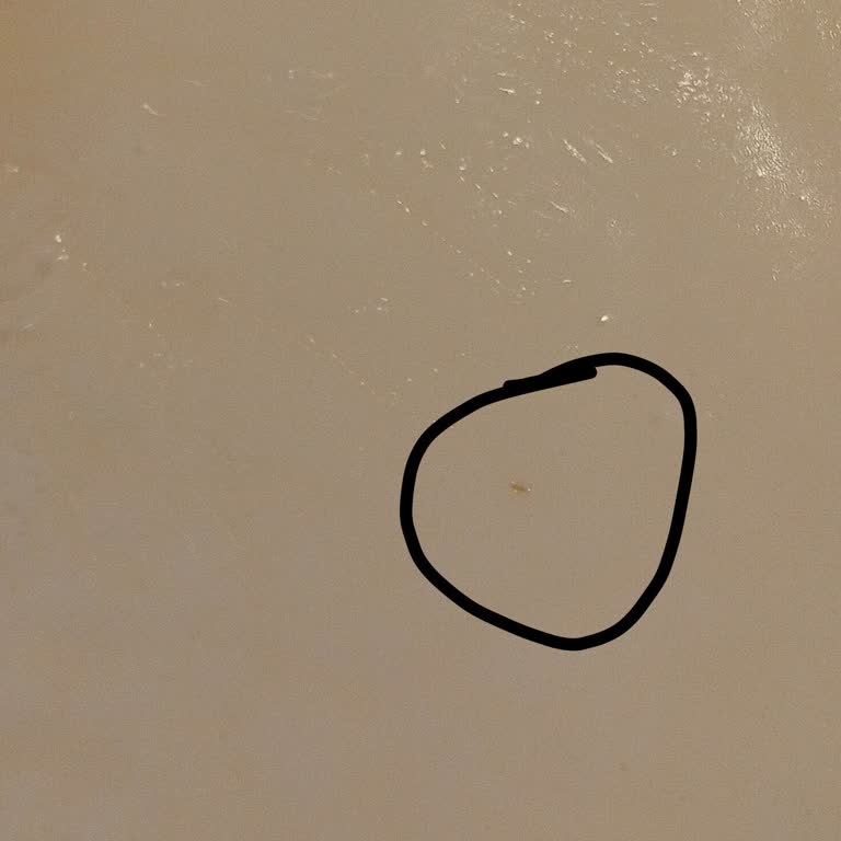 Dr. Oetker Muzlu Pudingde Yabancı Madde: Güvenlik Ve Hijyen Endişesi