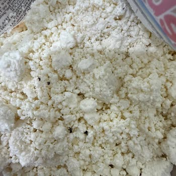 Uzun Son Kullanma Tarihli Lor Peyniri Kötü Koku Ve Siyah Lekelerle Çıktı