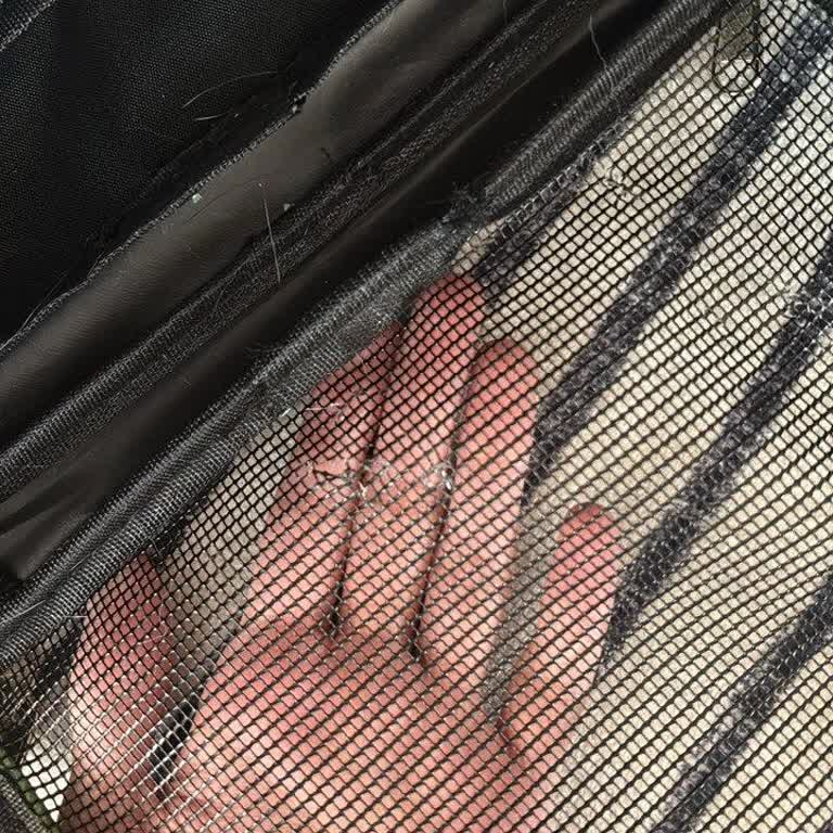 Kedi Taşıma Çantasında İlk Kullanımda Güvenlik Açığı: Fermuar Açıldı, File Yırtıldı