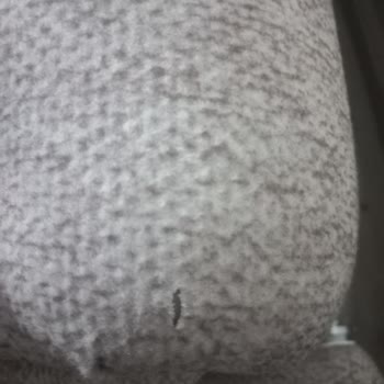 Mondihome Koltuk Kalitesi