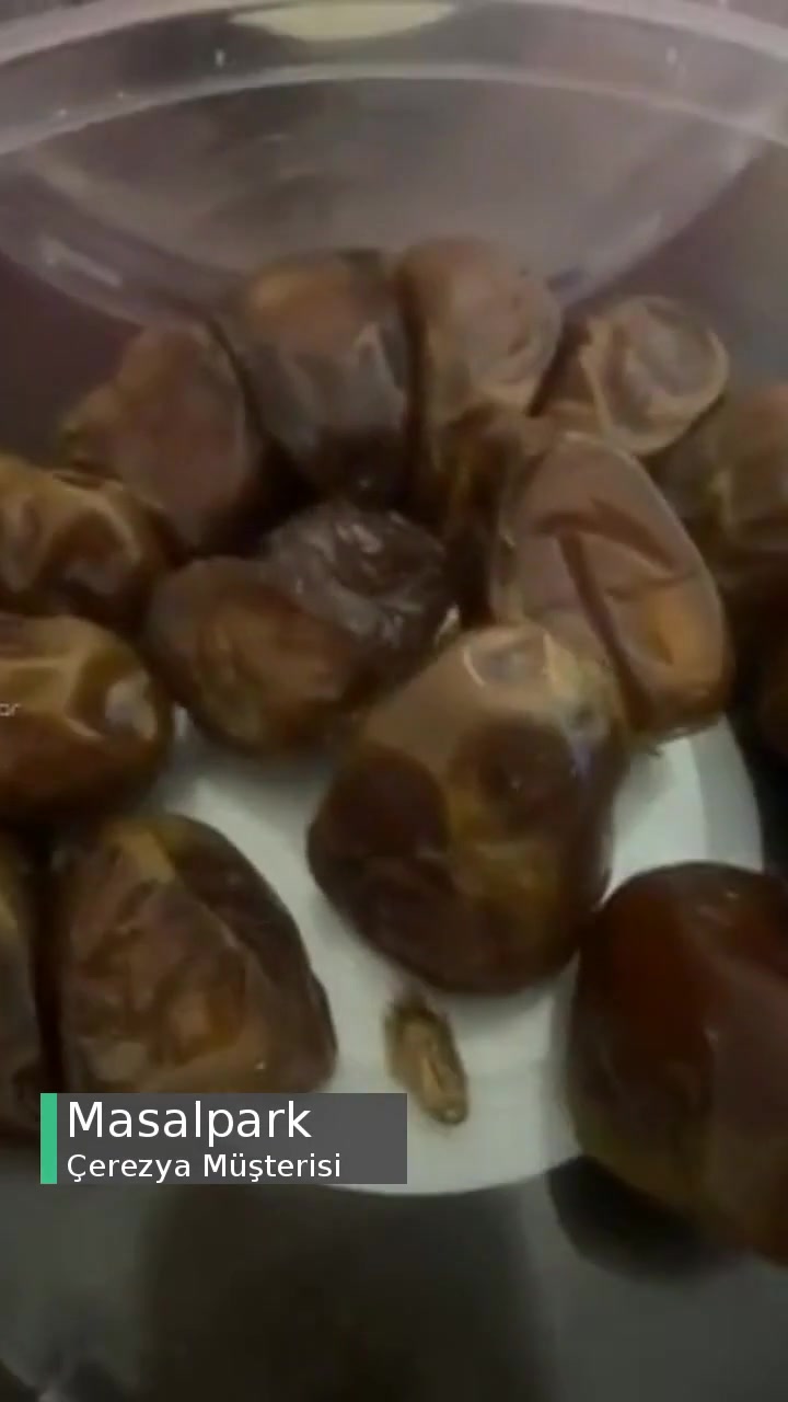 Çerezya Sukkari Hurma Böcek Rezilliği videonun kapak resmi
