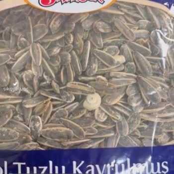 Simbat Çekirdekte Salyangoz Çıktı!
