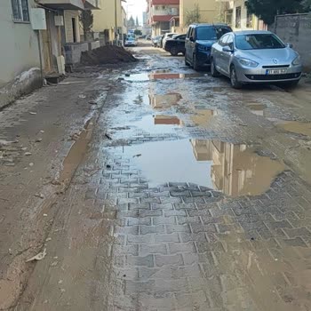 Ceylanpınar 455. Sokakta Çökük Yol Ve Su Birikintileri Yayaları Tehlikeye Atıyor