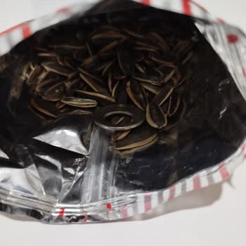 Tadım Çekirdek Yerken Paketin İçinden Oda Kapısı Anahtarı Çıktı