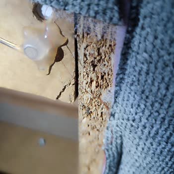 Kelebek Mobilya'dan Üç Ayda Teslim Edilmeyen Köşe Takımı Ve Cevapsızlık