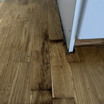 Arçelik’tan Verilen 49 Bin TL Tazminat Henüz Ödenmedi, Müşteri Hizmetleri Cevap Vermiyor