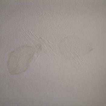 Doğa Sigorta’da Eksper Raporu Gecikmesi Ve Sürecin Durması