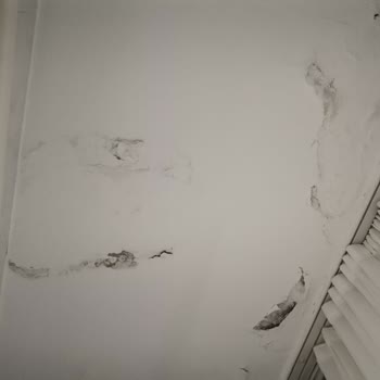 Doğa Sigorta’da Eksper Raporu Gecikmesi Ve Sürecin Durması