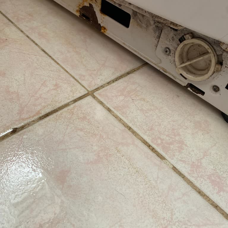 Beko Çamaşır Makinesinde Sürekli Arızalar Ve Su Sızıntısı