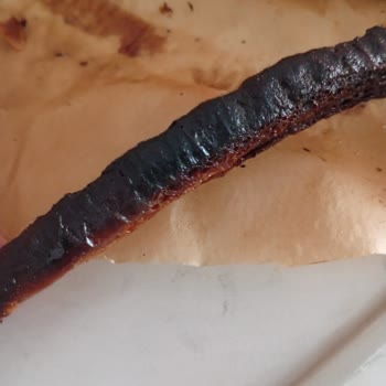 Aşırı Isıda Çalışan Kumtel Mini Fırın Ve Cevapsız İade Talebi