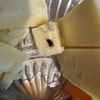 Eki aç