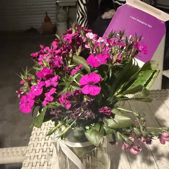 Yanlış Ve Solmuş Çiçek Gönderimi İçin Ücret İadesi Talebi