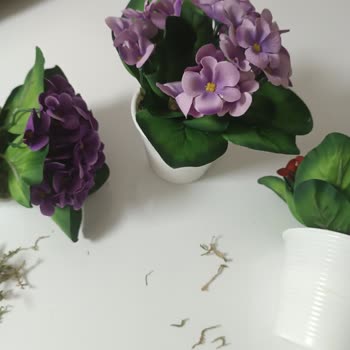 N11'de Yanlış Çiçek Gönderimi Ve Müşteri Hizmetlerinden Cevapsızlık